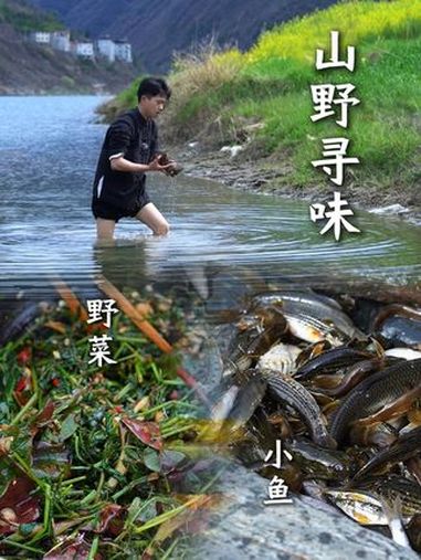 抓鱼摸蚌,采撷野菜,让味蕾回归最初的美好,感受最纯粹的山野味道 新农人计划2025 来一口