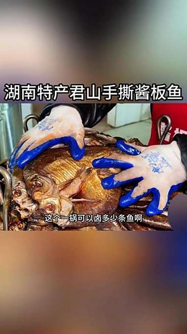 洞庭小伙做鱼有妙招,凌晨三点直接宰,毛孔张开撒腌料,活鱼3秒腌制好!妈呀太香了 湖南特色 