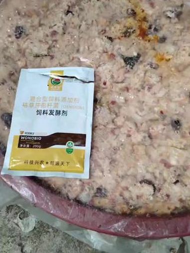 饲料发酵剂怎样发酵食堂剩饭潲水做饲料 用旺农宝多功能饲料发酵剂,发酵食堂剩饭剩菜、潲水等做