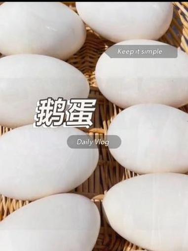 鹅蛋 强烈推荐 农家鹅蛋 散养鹅蛋