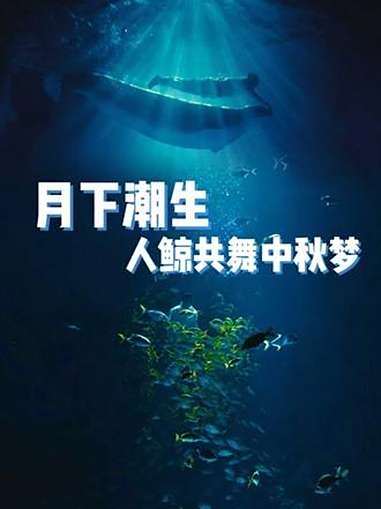 陈靖可人鲸共舞 陈靖可讲述司南鱼动人故事当 陈靖可 与鲸共舞,讲述人与海洋生灵的羁绊。在中