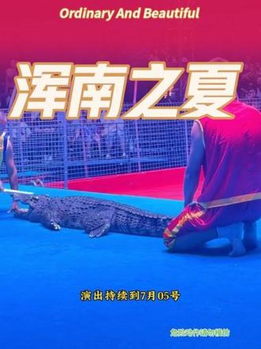 #沈阳浑南之夏泰国鳄鱼表演#沈阳好玩地方推荐#暑期游玩好去处#沈阳遛娃好去处#沈阳六一好去