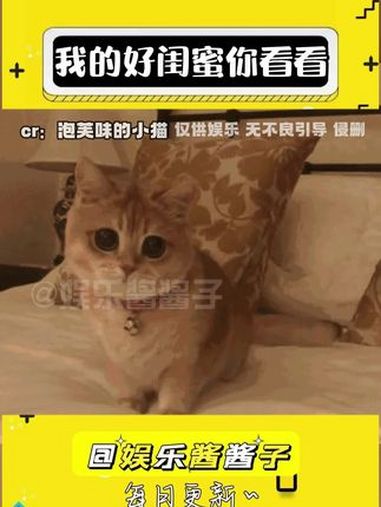 七年了,什么时候给我做七菜一汤 娱乐评论大赏 搞笑 闺蜜