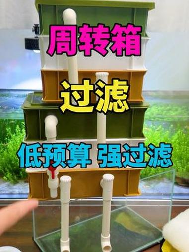 低预算又要过滤效果强，那还得是用周转箱过滤啊 #周转箱过滤 #鱼缸过滤 #鱼缸过滤器推荐 