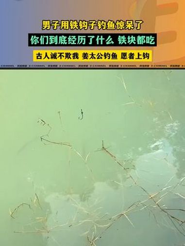 男子用铁钩子钓鱼惊呆了,你们到底经历了什么 铁块都吃。“古人诚不欺我 姜太公钓鱼 愿者上钩