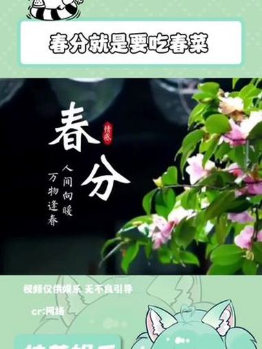 春分吃春菜 尝一口春天的味道 春天吃春菜 舌尖上的抖音 第一口春味 春分 娱乐评论大赏