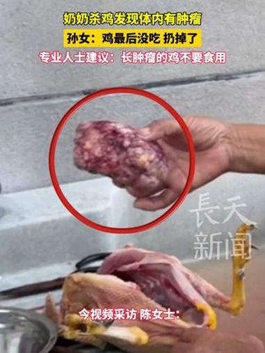 奶奶杀鸡发现体内有肿瘤 孙女:鸡最后没吃扔掉了 专业人士建议:长肿瘤的鸡不要食用 杀鸡 肿