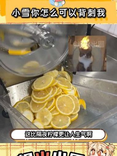 这就是嫡庶之分吗?小雪,你伤透了我的心 雪王 蜜雪冰城 奶茶 万万没想到