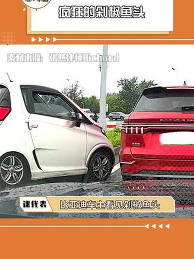 疯狂的剁椒鱼头 比亚迪车主看似不动如山实则……厉害了我的车 搞笑