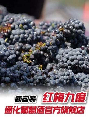 聚会不喝它?别说你懂少女酒!通化红梅第三代,聊到天亮都不腻!通化葡萄酒 葡萄酒 闺蜜 聚会