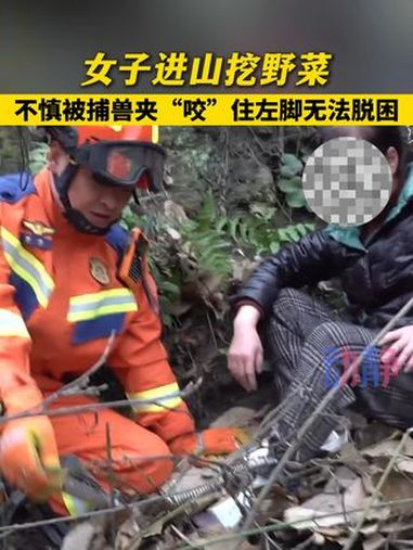 女子进山挖野菜,不慎被捕兽夹“咬”住无法脱困。进山挖野菜被捕兽夹“咬” 住 来源:遵义消防