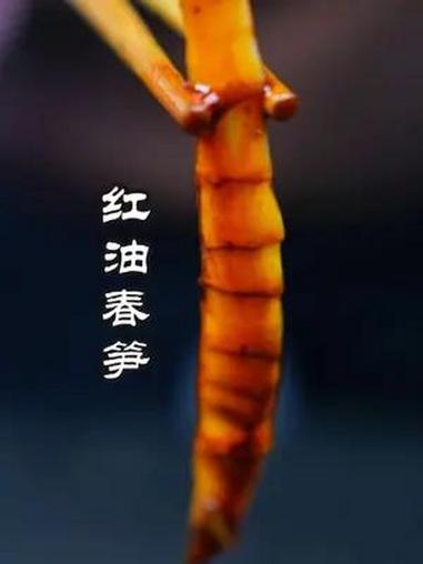 春天到了尝点春天的味道,春笋安排!什么菜才有春天的味道喃?春笋是最佳的选择之一,在四川春笋