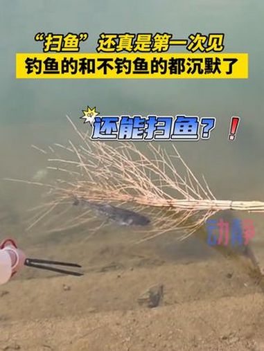扫鱼还真是第一次见!钓鱼和不钓鱼的都沉默了~ 来源:@吴宝儿