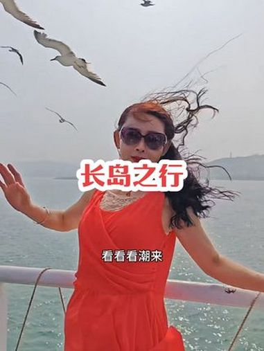 带你去看海鸥和大海 去有风的地方看海鸥飞翔 旅行推荐官 放飞心情放飞自我