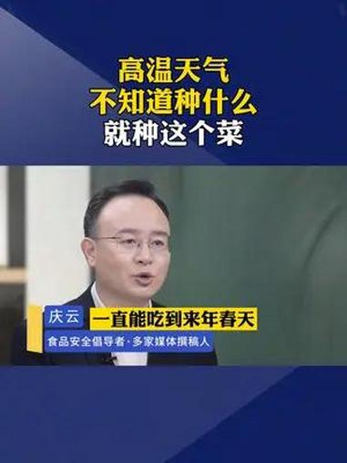 这是一款种植简单,非常适合阳台小院的紫罗兰青菜 蔬菜种子 家庭种植 阳台小院皆可种植