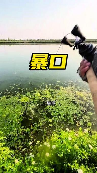 雷强人最喜欢的暴口!温度越来越高,2026年的第一条鱼你准备好了吗,周六出发!#钓黑鱼 #