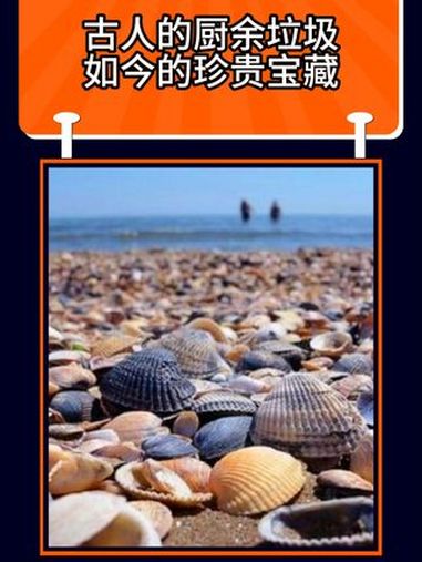 古人的厨余垃圾,如今的珍贵宝藏 海鲜 标本 人类文明