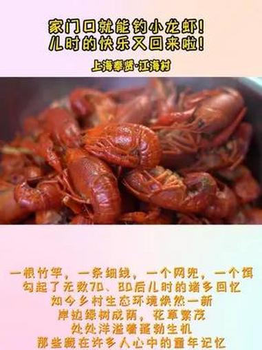 在 上海奉贤 江海村,体验儿时的快乐 钓龙虾