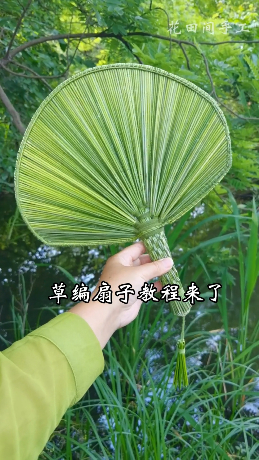 草编扇子教程,用农村田园边上的野草编一把扇子