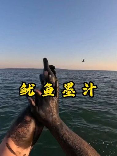 为什么墨鱼汁这么难清洗?科普 涨知识 内容启发搜索 墨鱼汁