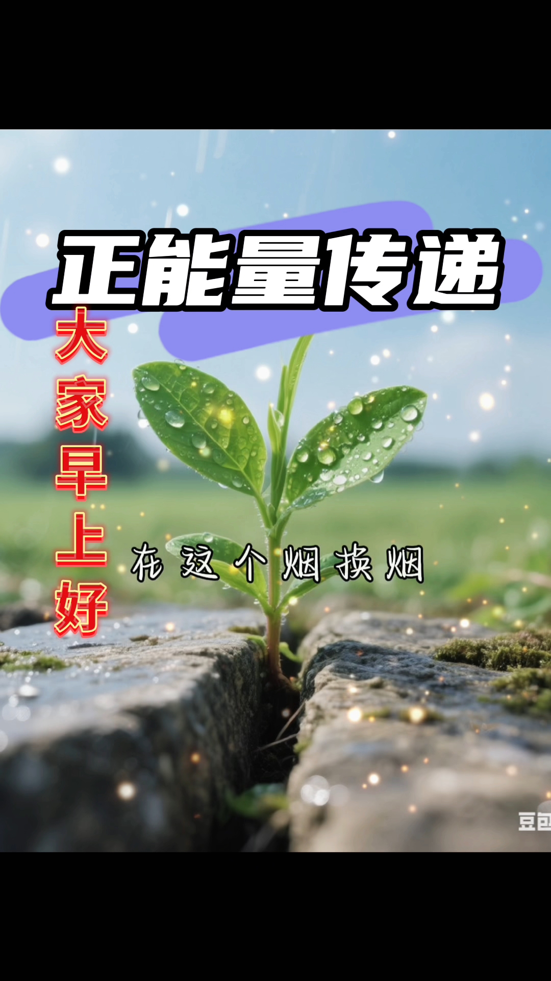 正能量传递  大家早上好