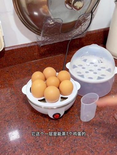 蒸蛋器 煮鸡蛋 厨房小家电 厨房好物 多功能