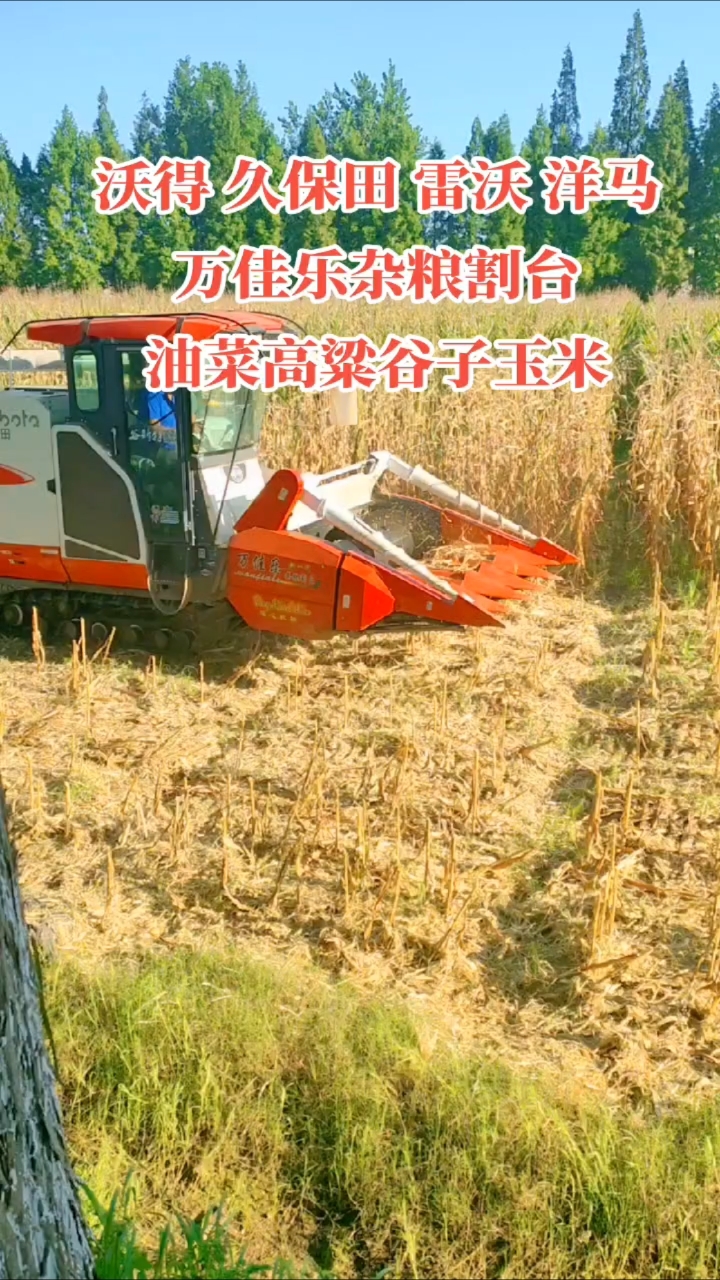 山东万佳乐割台玉米割台杂粮割台