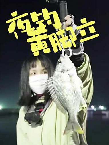 夜钓黄脚立 海钓 立鱼 鲷鱼