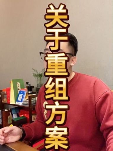 重组是怎么做的?什么样的人适合重组 债务重组 珠海 中山 银行贷款 珠海贷款老徐