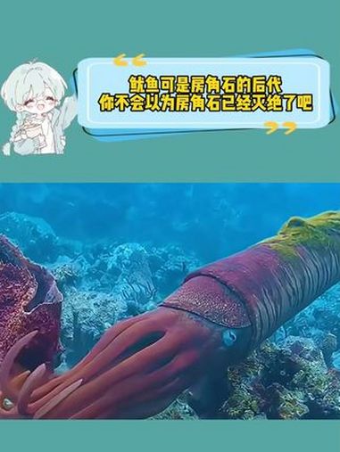 鱿鱼可是房角石的后代 你不会以为房角石已经灭绝了吧 房角石 乌贼 海洋生物 奥陶纪 热点新