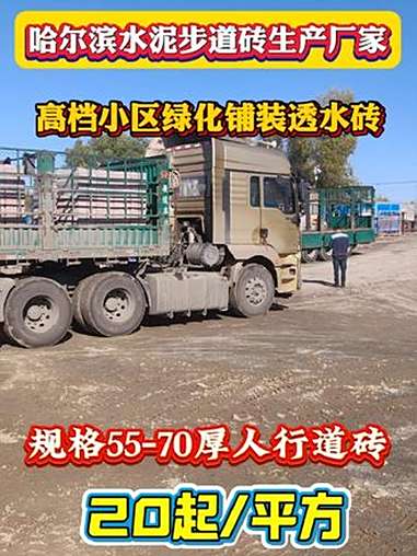 哈尔滨荷兰砖 高档小区绿化步道板 步道砖发货 高压振捣水泥预制构件 耐酸碱防腐蚀 使用强度