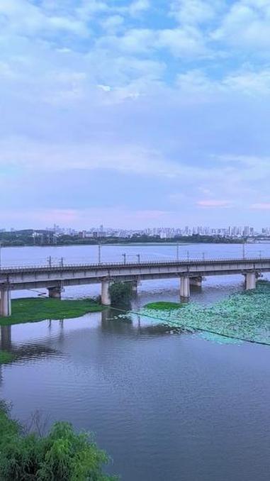 这里是洪山区的汤逊湖区域,将规划建设公园、绿道、乐园等 武汉 光谷 江夏 洪山 汤逊湖