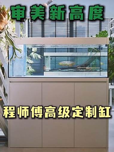 形水平替？程师傅高级定制缸系列 鱼缸 形水鱼缸 水鸦鱼缸 鱼缸定制 龙鱼缸