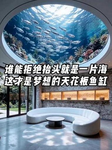 谁能拒绝抬头就是一片海?这才是梦想天花板鱼缸 #天花板鱼缸 #亚克力空中鱼池 #大型亚克力