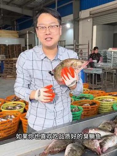 古人说桃花流水鳜鱼肥,春天就是吃鱼的季节