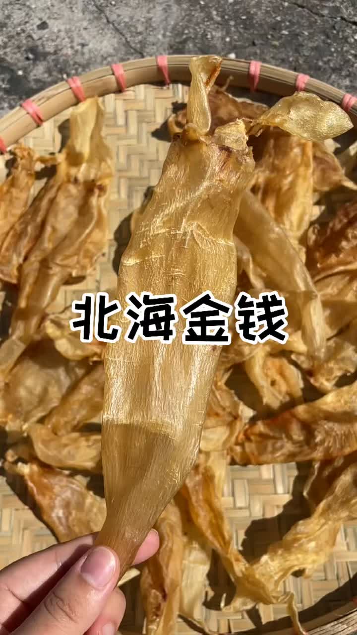 最不会踩坑的鱼胶品种之一北海金钱胶