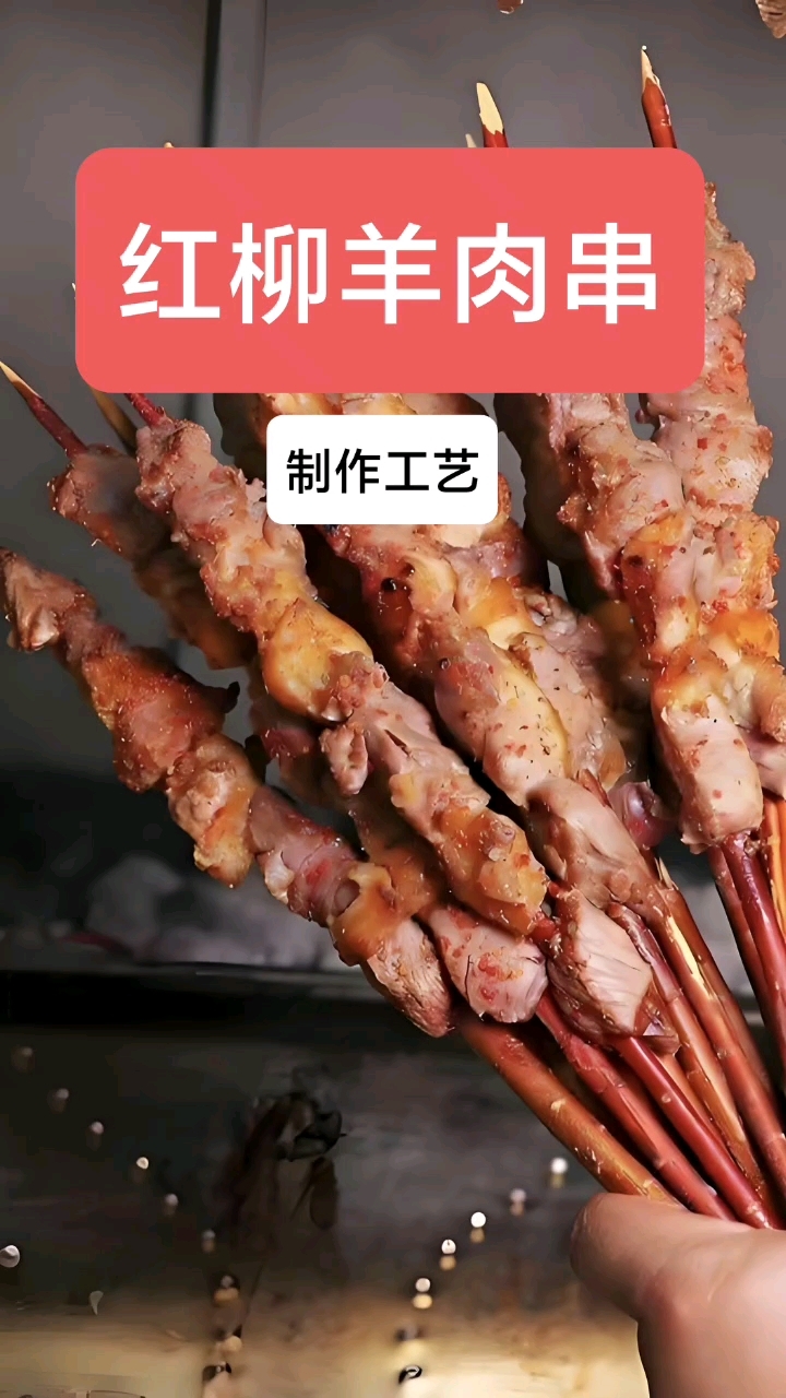 非遗守护者!红柳羊肉串文化#餐饮配方#新东方学校#红柳羊肉串