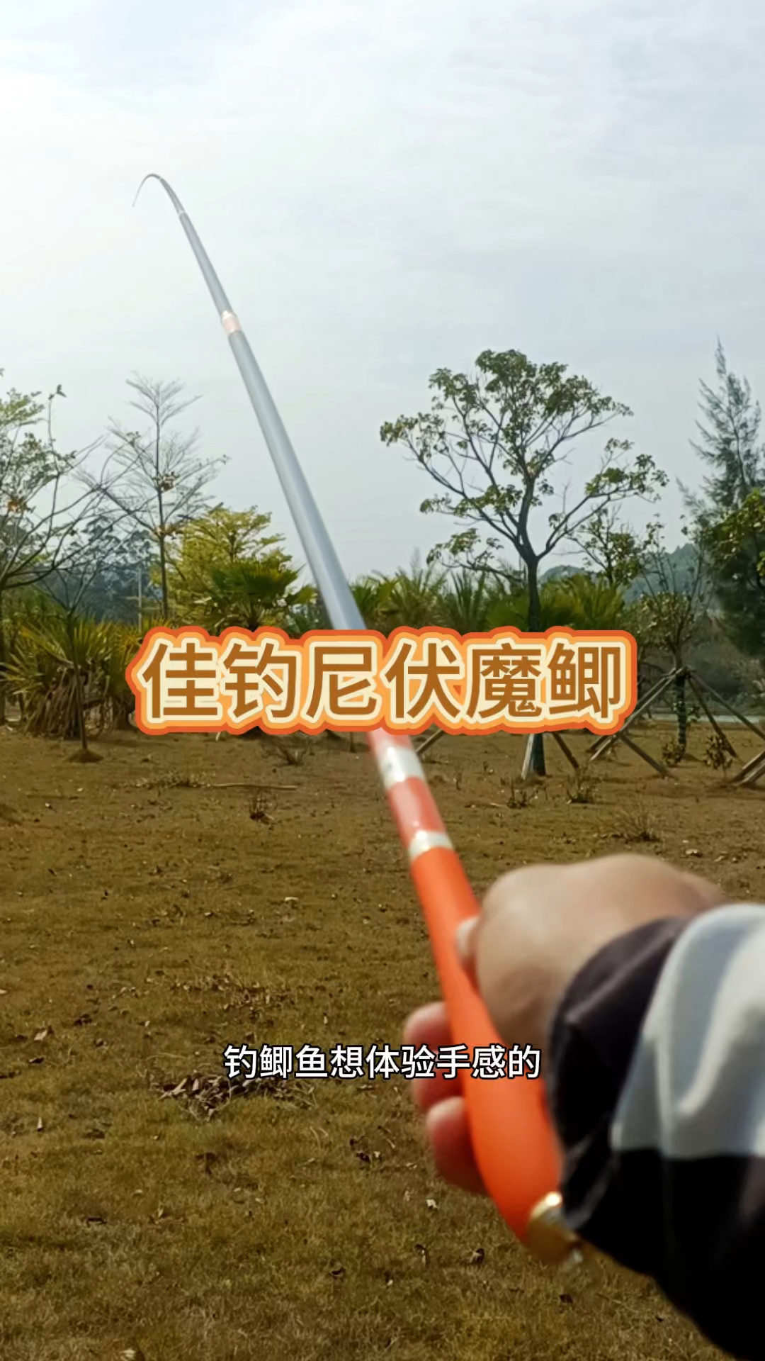 佳钓尼伏魔鲫手感王鲫鱼竿