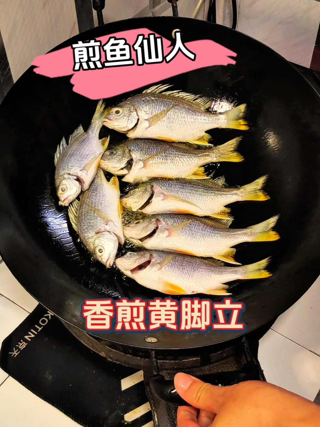 一口沦陷！这道香煎黄脚立，鲜到灵魂出窍！