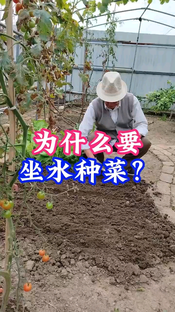 家庭种菜经验分享