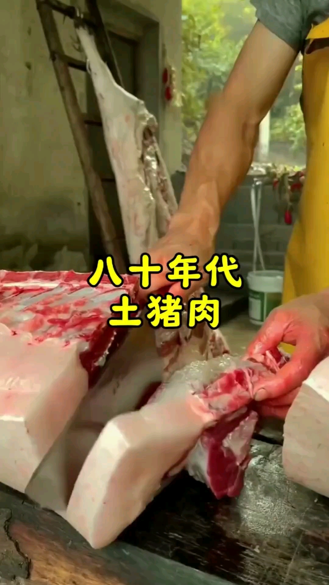 八十年代的土猪肉#80后童年回忆#怀旧