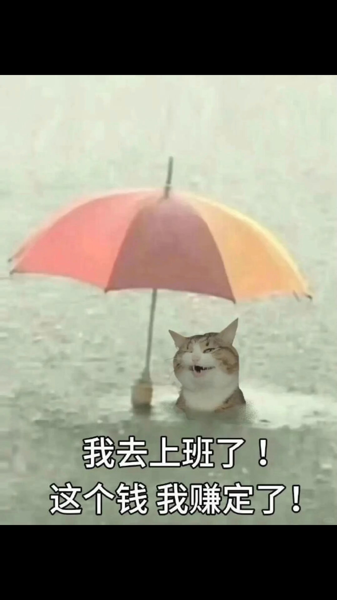 近期下雨天使用频率很高的表情包 [开学季]