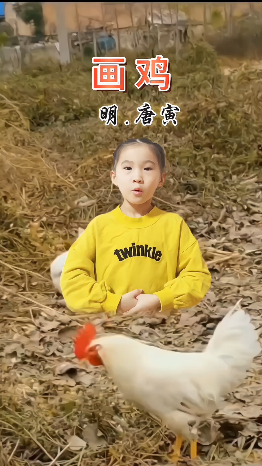 第55集《画鸡》