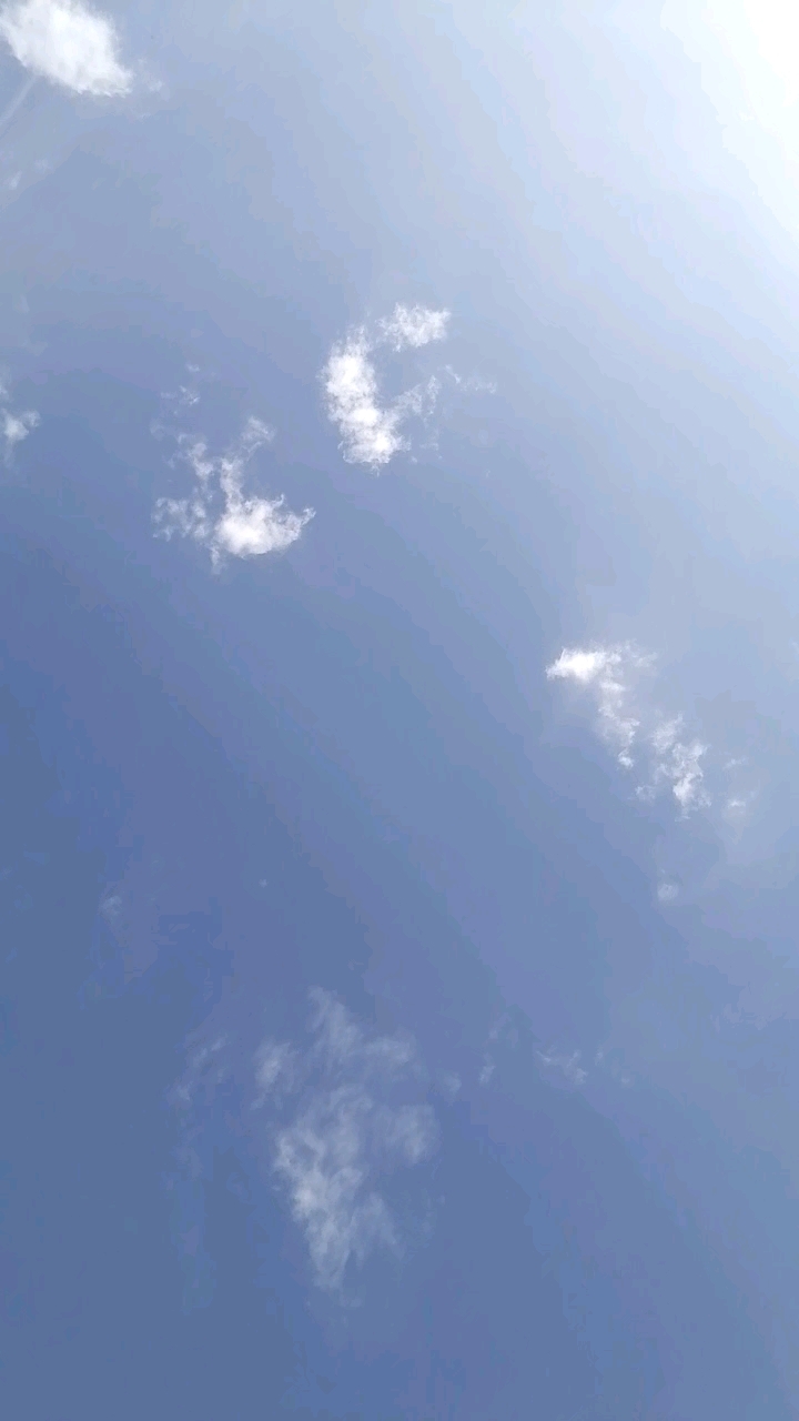 海阔凭鱼跃,天高任鸟飞!