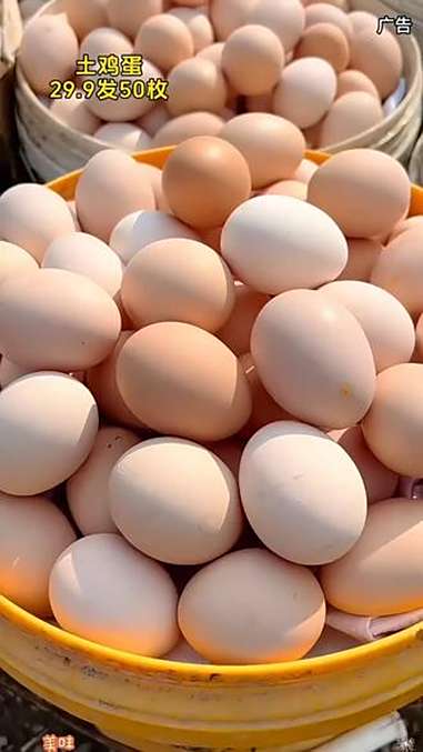 土鸡蛋 农家散养土鸡蛋 好吃又营养 鸡蛋 优质农产品
