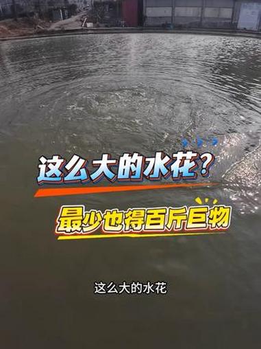 钓鱼大师的必经之路，手机打窝！#抖音钓鱼人 #原创视频 #真实户外 #冬钓野钓