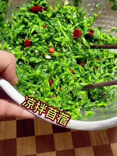 春天的气息,凉拌苜蓿菜,春天的味道 野菜美食 简单家常