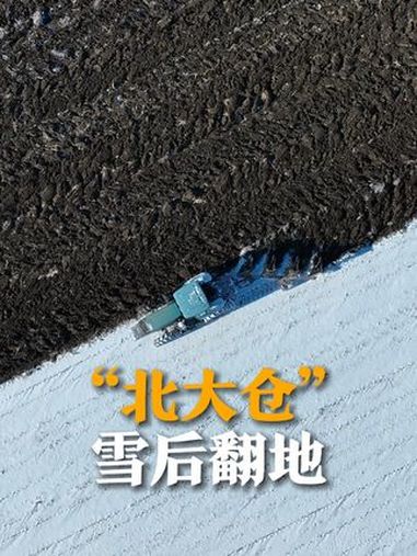 11月12日(采访),黑龙江双鸭山八五二农场,空中视角记录雪后农场翻地景象。拍摄者:体会到