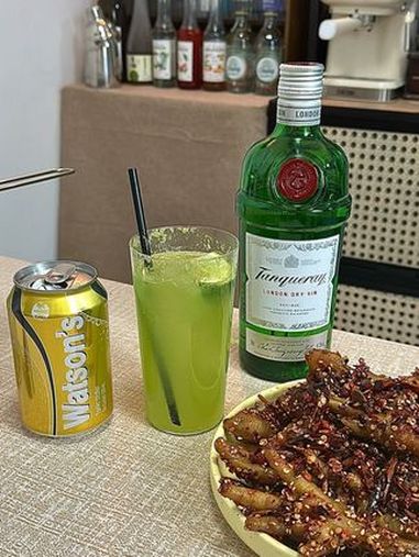 清爽解腻的黄瓜金汤力搭配冷吃麻辣鸡爪 微醺时刻 一起喝酒 调酒日记 酒蒙子 鸡尾酒