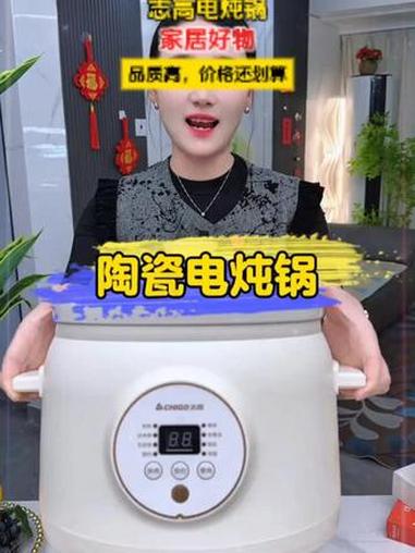 陶瓷电炖锅文火慢炖锁营养,白瓷内胆健康易洁,智能预约省时省力。陶瓷电炖锅 厨房电器 养生炖